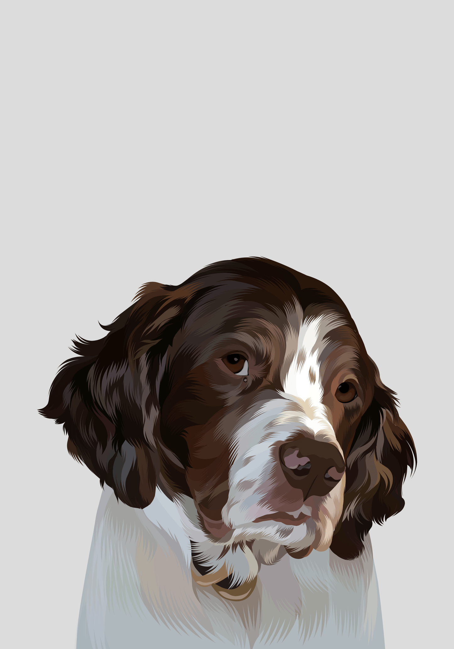 Hand-drawn Pet Illustration