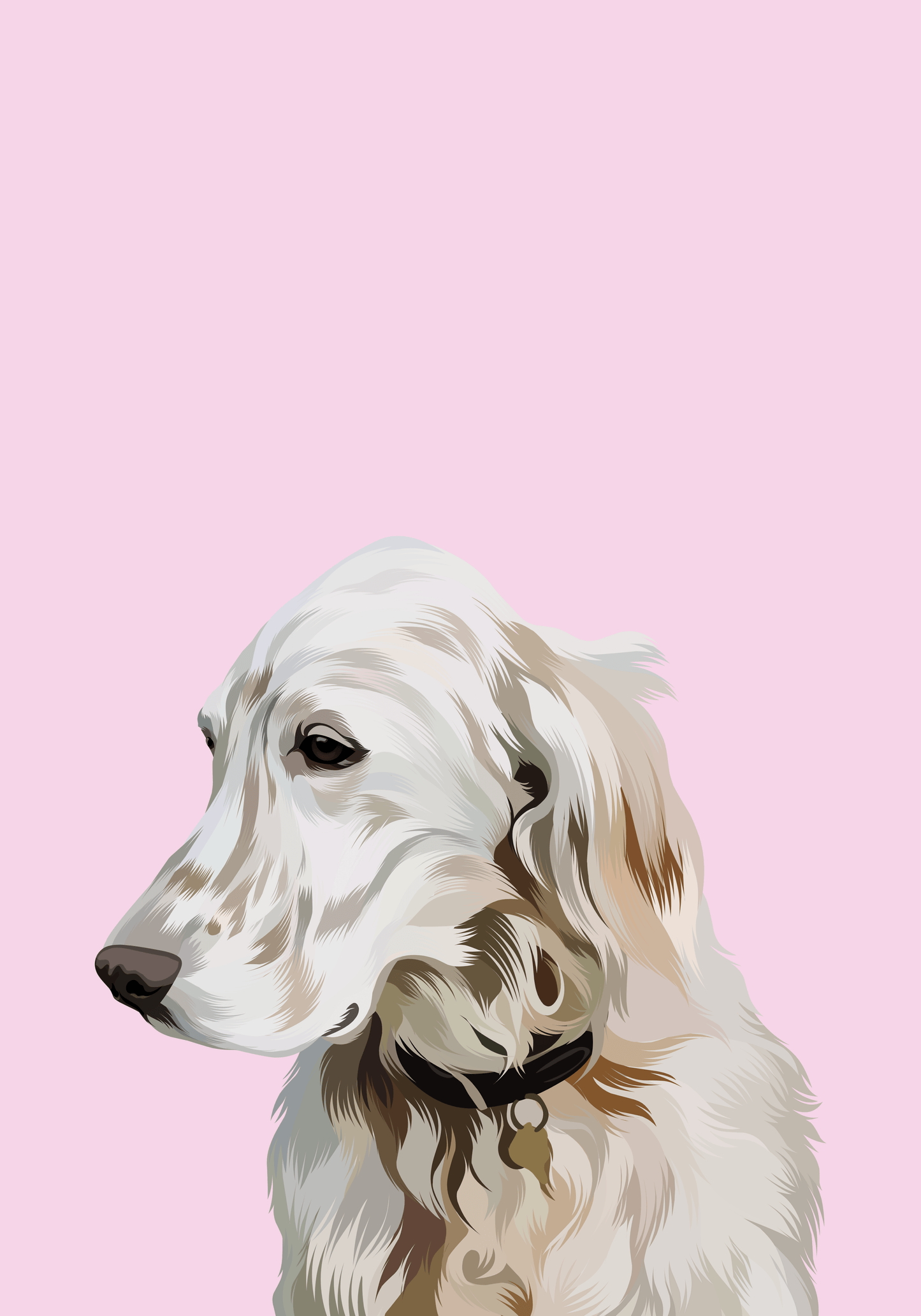 Hand-drawn Pet Illustration